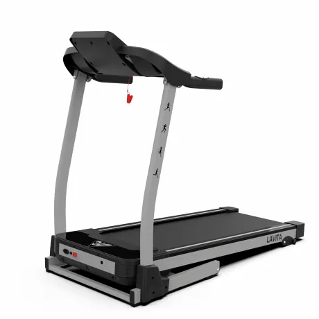 Беговая дорожка DFC LAVITA T350 - Фото 2