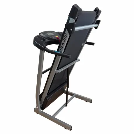 Беговая дорожка DFC REKORD T190 - Фото 5