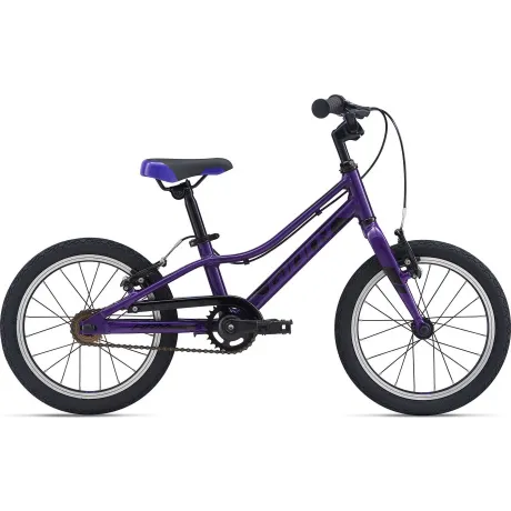 Велосипед Giant ARX 16 F/W фиолетовый