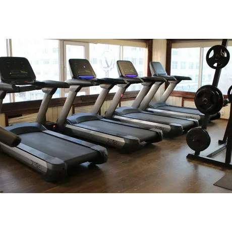 Беговая дорожка DHZ SHUA SH-5918 - Фото 2