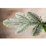 Триумф ель Нормандия Пушистая 215 см заснеженная - Фото 2