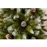 Триумф ель Женева с шишками 215 см заснеженная - Фото 3