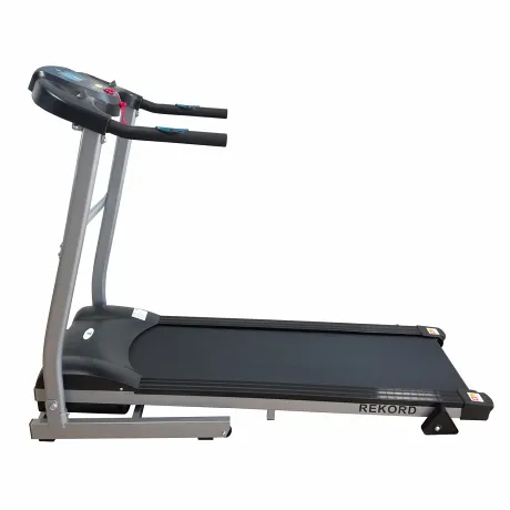 Беговая дорожка DFC REKORD T190 - Фото 3