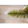 Триумф ель Женева с шишками 215 см заснеженная - Фото 4