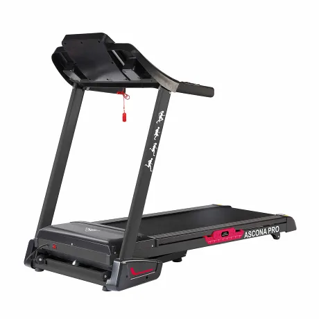 Беговая дорожка DFC ASCONA Pro T640 - Фото 4