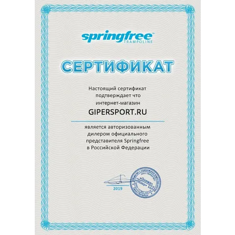 Интерактивная приставка SPRINGFREE TGOMA - Сертификат