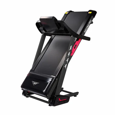 Беговая дорожка DFC ASCONA Pro T640 - Фото 8