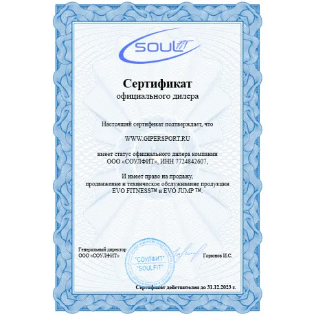 Беговая дорожка EVO FITNESS Vector II - Сертификат